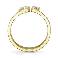 Scattered Cigar Band-S24